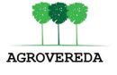 LOGO_AGROVEREDA_BURITI-2-300x195